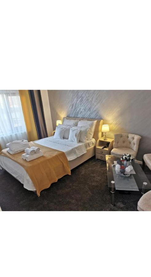 Vila Davison Târgu Jiu Zewnętrze zdjęcie
