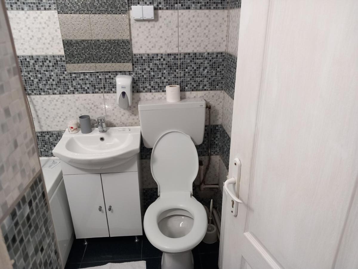 Vila Davison Târgu Jiu Zewnętrze zdjęcie