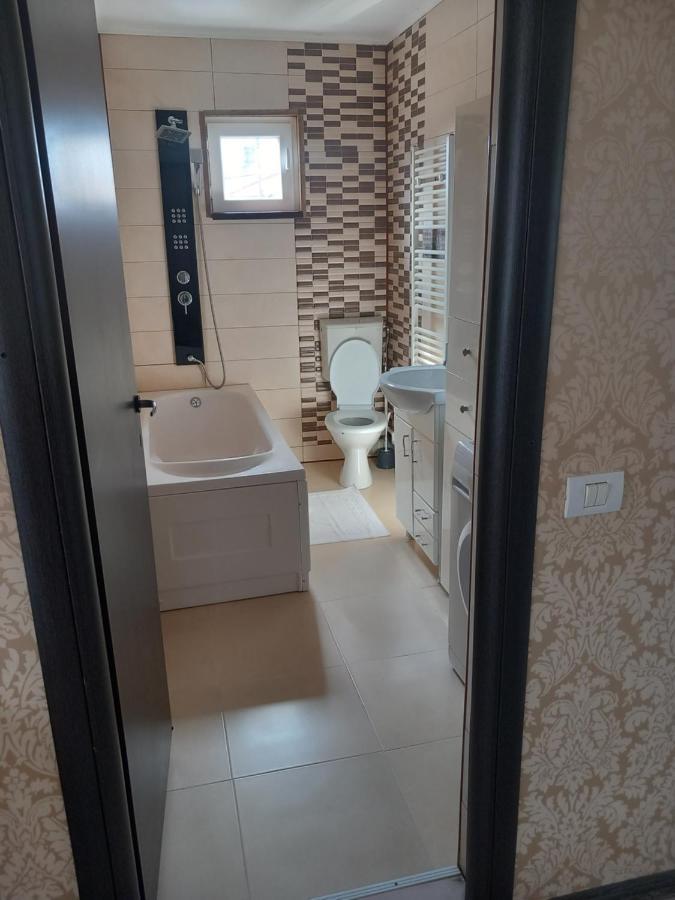 Vila Davison Târgu Jiu Zewnętrze zdjęcie