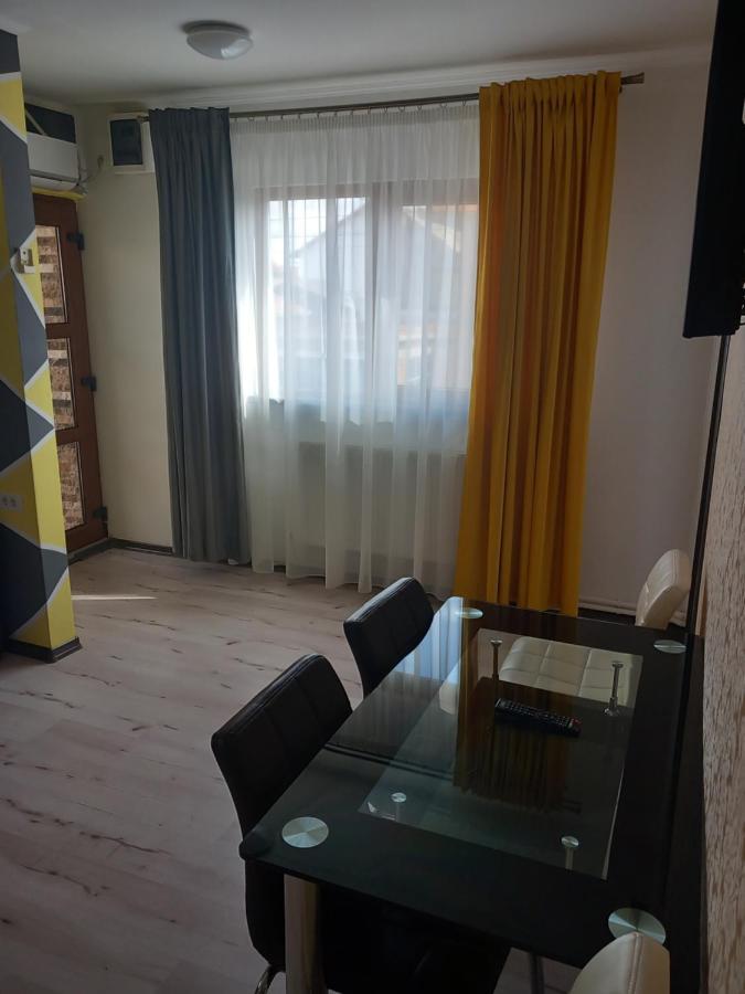 Vila Davison Târgu Jiu Zewnętrze zdjęcie