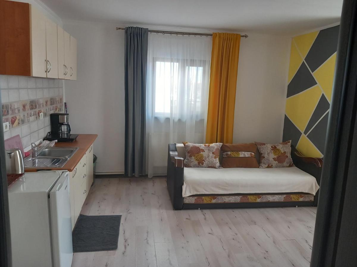 Vila Davison Târgu Jiu Zewnętrze zdjęcie