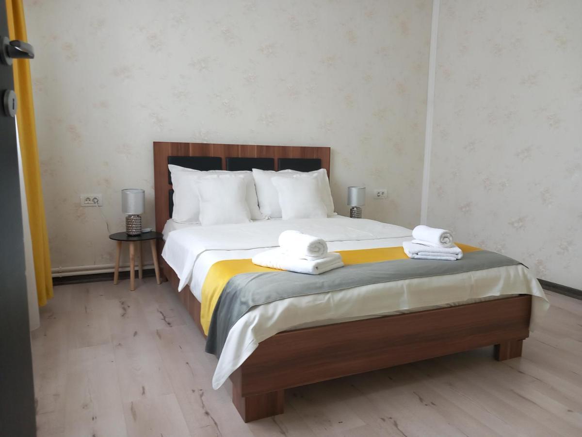 Vila Davison Târgu Jiu Zewnętrze zdjęcie