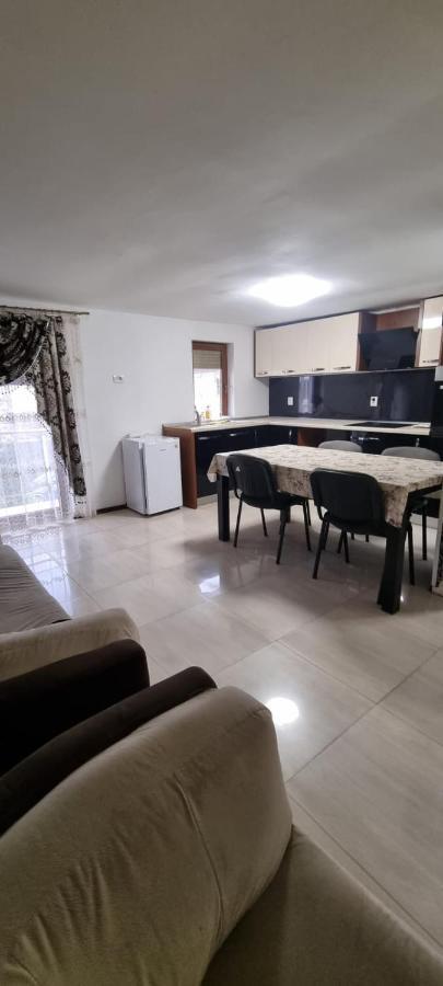 Vila Davison Târgu Jiu Zewnętrze zdjęcie