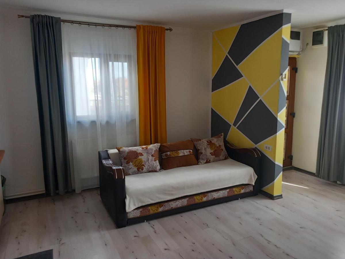 Vila Davison Târgu Jiu Zewnętrze zdjęcie