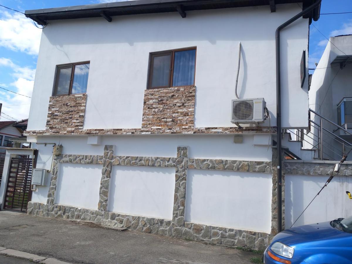 Vila Davison Târgu Jiu Zewnętrze zdjęcie