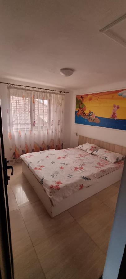 Vila Davison Târgu Jiu Zewnętrze zdjęcie