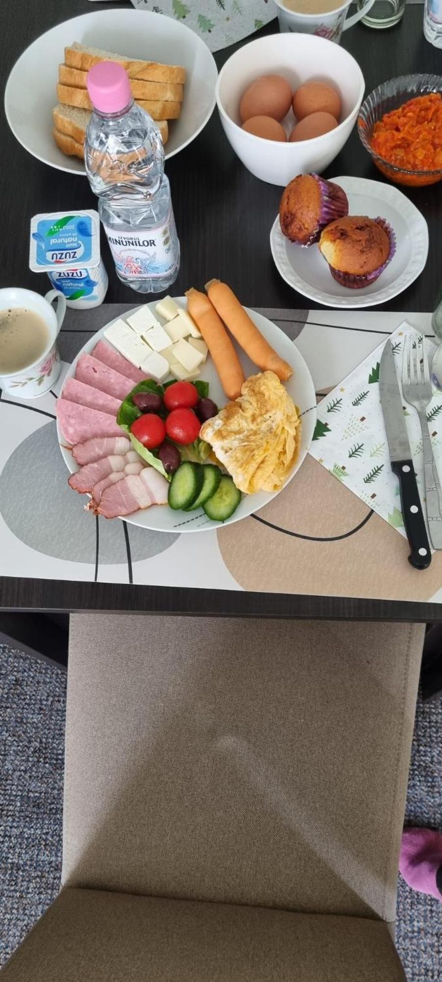 Vila Davison Târgu Jiu Zewnętrze zdjęcie
